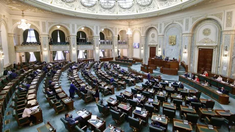 Senatul a votat pentru a impozita românii angajați la domiciliu