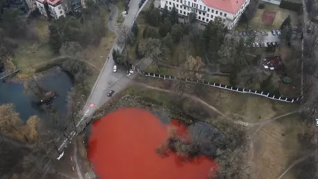 Lac de sânge în fața Ambasadei Rusiei din Lituania - VIDEO