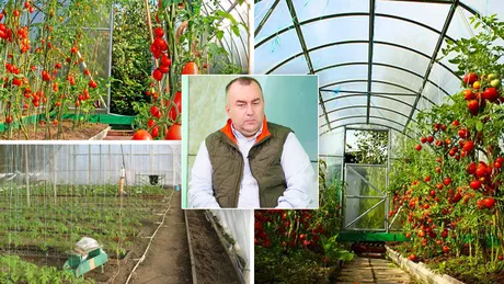 Direcția Agricolă Iași verifică serele producătorilor care au cerut ajutorul de minimis în programul Tomata