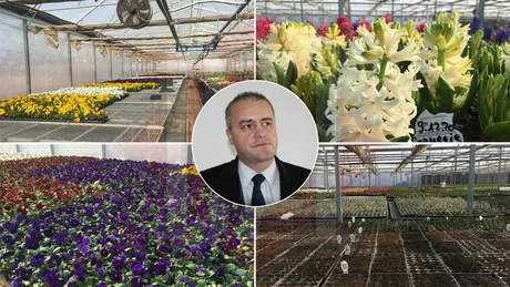 Iașul un oraș verde este ambiția lui Laurențiu Ivan O să plantăm peste un milion de flori în anul 2022
