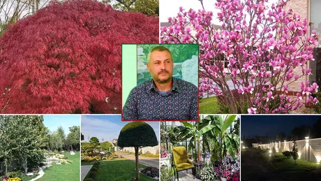 Cele mai frumoase grădini din Iași amenajate cu magnolii arțari și cireși japonezi. Clienții plătesc și 10.000 de euro