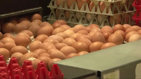 ANPC a aplicat sute de mii de lei amenzi comercianților de ouă de Paște