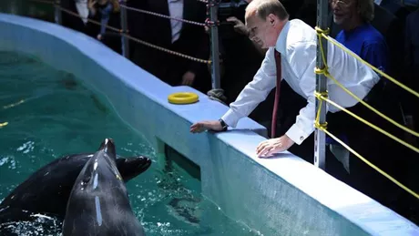 Noua armă a rușilor în războiul cu Ucraina  delfinii dresați