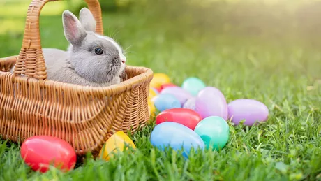 Urări de Paște scurte cele mai frumoase mesaje pe care le poți trimite familiei și prietenilor