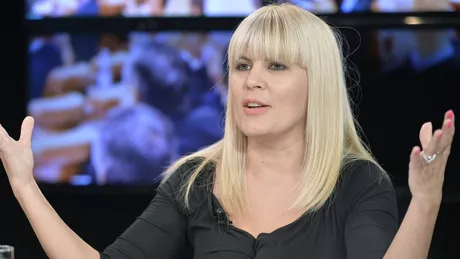 Elena Udrea ultima încercare de a scăpa de condamnarea în dosarul Gala Bute