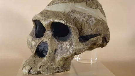 Fosile umane găsite într-o peşteră mai vechi cu 1 milion de ani decât se credea iniţial
