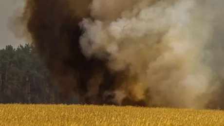 Un incendiu a mistuit 200 de hectare de culturi agricole
