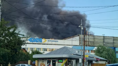 Incendiu de proporții în zona industrială a Buzăului. A fost emisă avertizare RoAlert - FOTO VIDEO