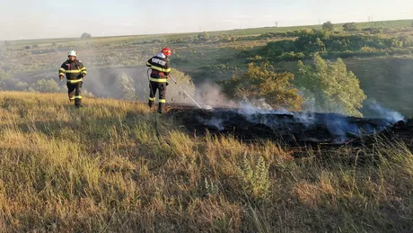 Incendiu de vegetație uscată în județul Iași. Ard aproximativ 3 hectare și câțiva puieți de salcâm - EXCLUSIV FOTO