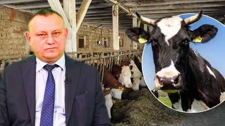 Fermieri verificați-vă conturile APIA Iași a virat ajutorul COVID-19 crescătorilor de bovine suine și păsări