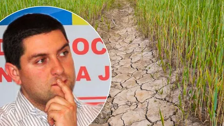 Stare de calamitate în agricultură la Iași Prefectul Iașului susține că județul se confruntă cu probleme mari din cauza secetei