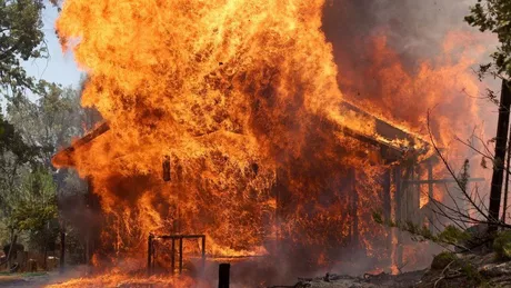 Incendiu de vegetație în SUA California. Pompierii se luptă cu flăcările - FOTO