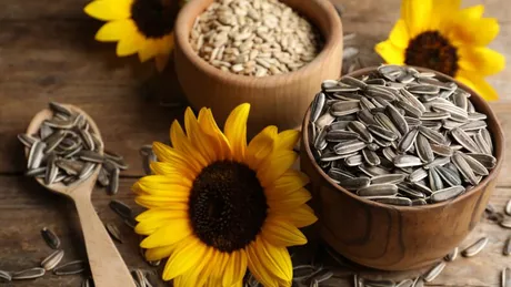 Efectele consumului de semințe de floarea-soarelui. Ce spun cele mai recente studii ale specialiștilor