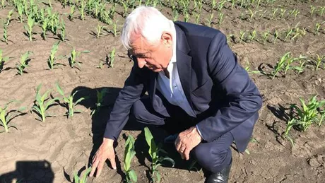 Petre Daea vorbește despre posibilă criză alimentară în România