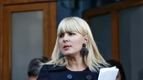 Elena Udrea modalitate de a scăpa de închisoare Vreau să cer şi eu să fiu considerată nebună şi fără discernământ