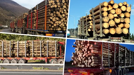 A crescut cererea pentru lemne. Direcția Silvică Iași abia mai face față solicitărilor. Lemnul este mai ieftin ca sursă de încălzire