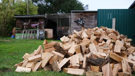Decizie în coaliție. Prețul lemnului de foc va fi plafonat exportul va fi interzis surse
