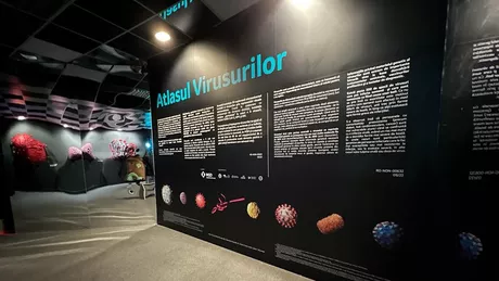 Atlasul Virusurilor prima expoziție 3D din România care explorează universul invizibil al virusurilor inaugurată la Art Safari