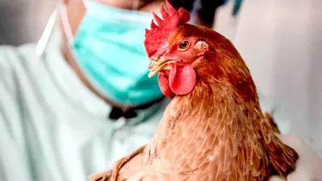 Caz de gripă aviară la om înregistrat în Spania. Ce a declarat ministerul Sănătăţii de la Madrid