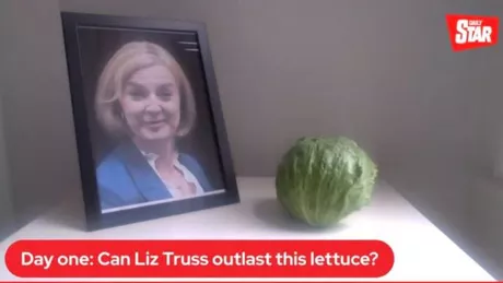 Premierul britanic Liz Truss e pe picior de plecare. Mai mulţi deputaţi vor să o înlăture pe şefa guvernului Poate rezista premierul mai mult decât o salată verde