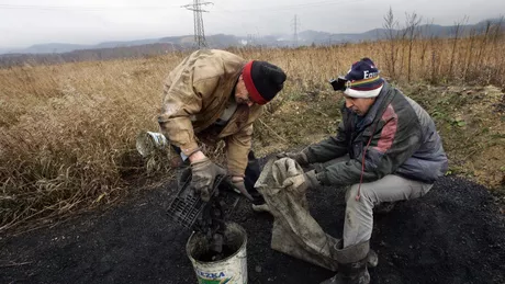 Mineritul din grădină i-a făcut pe mulți localnici dintr-un sat din Polonia să își abandoneze locurile de muncă