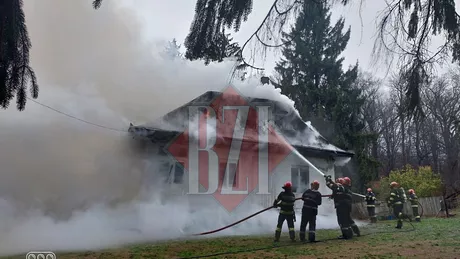 Incendiu la Ocolul Silvic Perju din Dobrovăț. Pompierii intervin - EXCLUSIV UPDATE FOTO