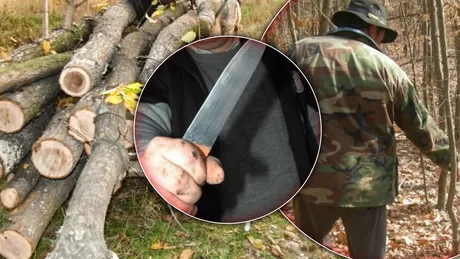 Un ieșean cu un cuțit în mână a amenințat cu moartea un pădurar din comuna Țibana. Ce pedeapsă a primit inculpatul  FOTO