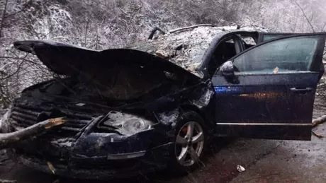 Un copac a căzut peste o mașină în mers în Reșița. Un băiat de 14 ani a murit