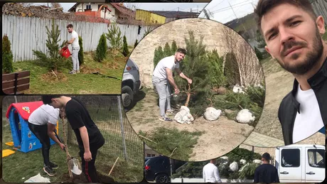 Gestul unui tânăr antreprenor din Bârnova. Acesta a cumpărat și plantat arbori de tuia pin și mesteacăn în grădina școlii în care a studiat când era copil - GALERIE FOTO