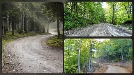 Un dezvoltator imobiliar vrea contractul pentru repararea drumurilor forestiere din județul Iași Potul este de 2 milioane de euro
