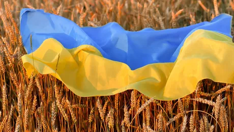 Teste efectuate în Danemarca au confirmat că un transport de grâu ucrainean ajuns în Slovacia conţine pesticide nocive