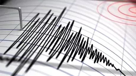 Cutremur în zona seismică Vrancea. Ce magnitudine a avut