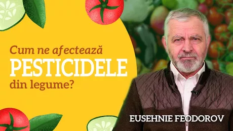 LIVE VIDEO - Cum ne afectează pesticidele din legume Discuție cu Feodorov Eusehnie director executiv al Asociației Producătorilor de Legume Târgu-Frumos numai la BZI LIVE - FOTO