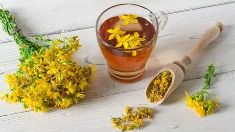 În ce boli ceaiul de sunătoare este interzis  Cum să pregătești corect remediul naturist