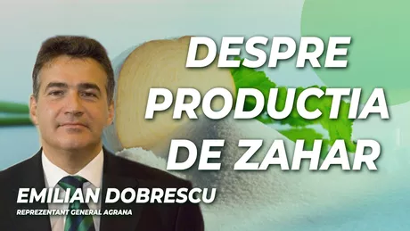 LIVE VIDEO - Cum rezistă pe piață fabrica de zahăr Agrana Discuție cu Emilian Dobrescu Reprezentant General Agrana numai la BZI LIVE