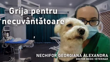 LIVE VIDEO - Dr. Nechifor Georgiana Alexandra medic veterinar discută în emisiunea BZI LIVE despre grija pe care ar trebui să o acordăm sănătății prietenilor noștri necuvântători - FOTO