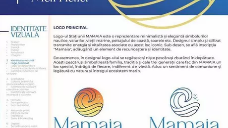 Logoul Stațiunii Mamaia seamănă foarte mult cu alte sigle folosite de diverse companii deși s-au plătit aproape 20.000 de euro
