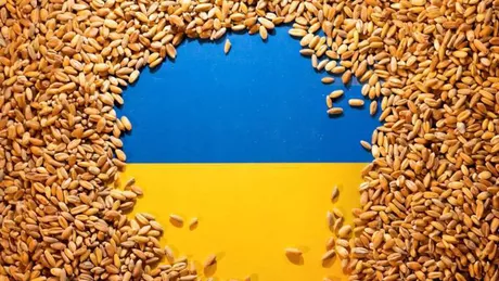 Polonia Ungaria și Slovacia date în judecată de Ucraina în criza cerealelor