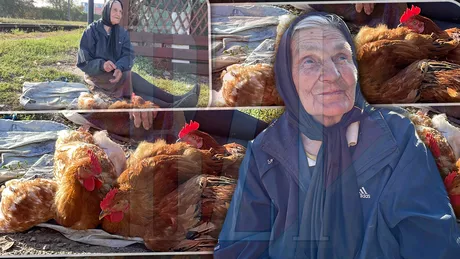 Bunica Valeria se trezește la 3 dimineața să vină la Iași cu câteva găini. Speră să le vândă ca să poată face câțiva lei - FOTO