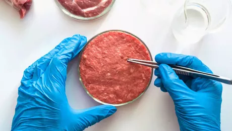 Senatorii au luat decizia privind carnea artificială Ce se va întâmpla în magazine