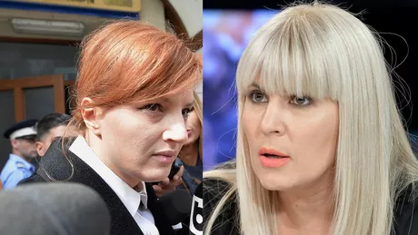 ICCJ va judeca pe fond recursul în casație în dosarul Elenei Udrea și Ioanei Băsescu