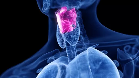 Ai adesea senzația de gâdilat în gât Ce înseamnă și cum poate fi prevenită