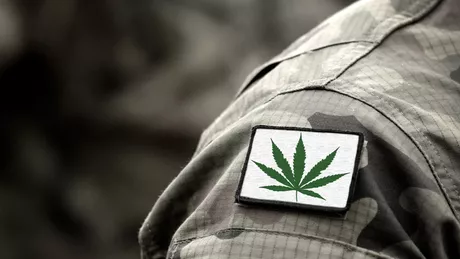 Parlamentul ucrainean a legalizat consumul de cannabis în scopuri medicinale