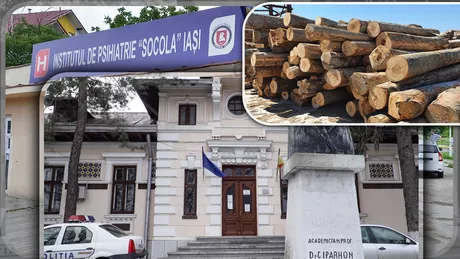 Institutul de Psihiatrie Socola Iași a achiziționat în luna decembrie lemn în valoare de circa 20.000 de lei pentru Secţia Exterioară Şipote