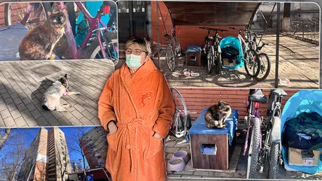 Scandal între locatarii unui bloc O femeie care a pus două cuști cu pisici într-un spațiu destinat bicicletelor i-a pus pe jar pe vecini Când intrăm în bloc călcăm în mizeria animalelor - FOTO