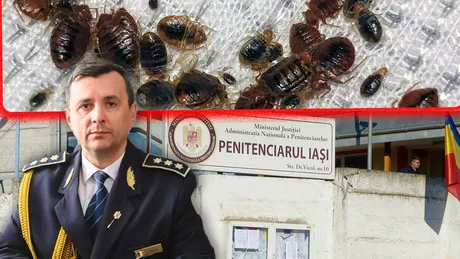 Lagărul din Copou. Deținuții din Penitenciarul Iași spun că sunt atacați de ploșnițe și sunt obligați să trăiască în condiții inumane