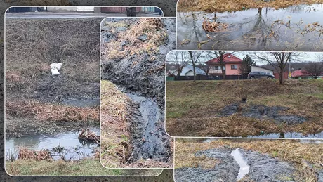 Inspectorii de la Apele Române au descoperit o conductă clandestină pe râul Nicolina. Toate deșeurile menajere ajungeau în apă - FOTO