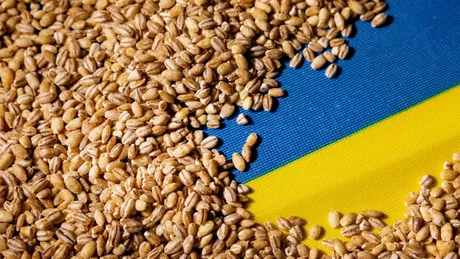 Polonia va verifica toate transporturile de cereale care provin din Ucraina