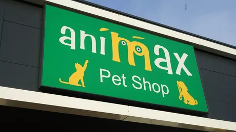 Ai animăluț de companie Animax deschide un nou magazin în Iași Profită de promoția inaugurală 20 reducere la toate produsele 
