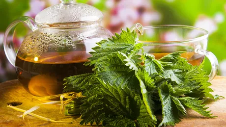 Cel mai bun ceai pentru alergii ale pielii. Proprietățile extraordinare ale plantelor medicinale